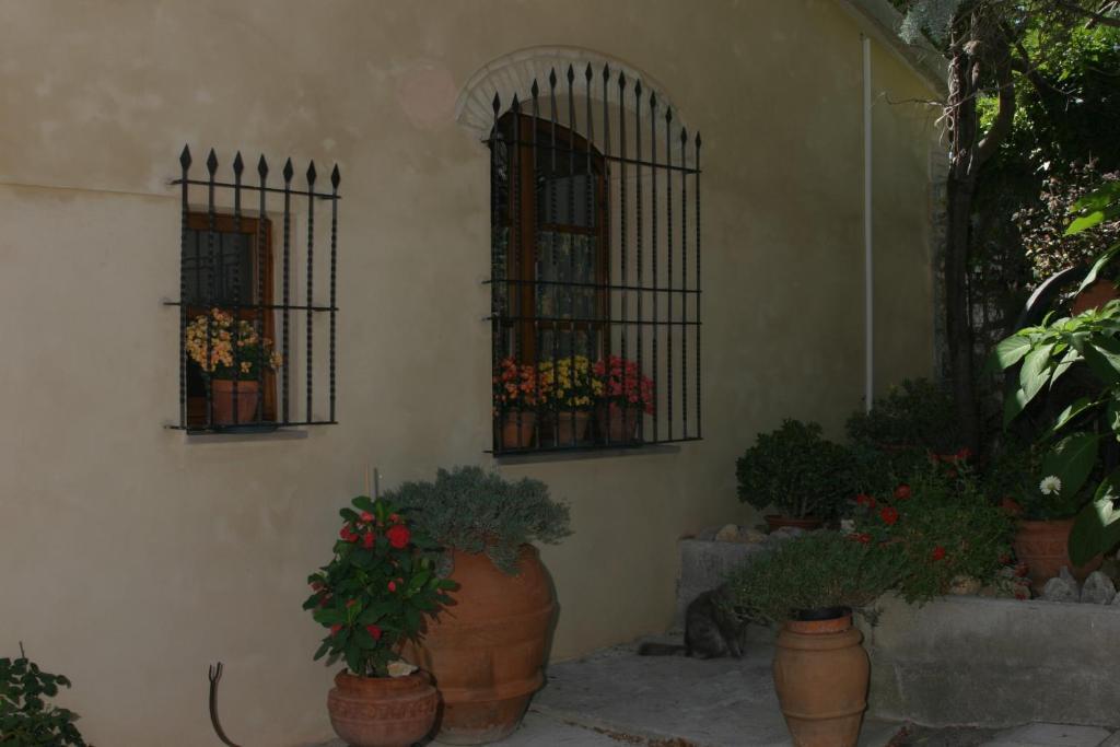 Agriturismo Il Colto San Gimignano Bagian luar foto