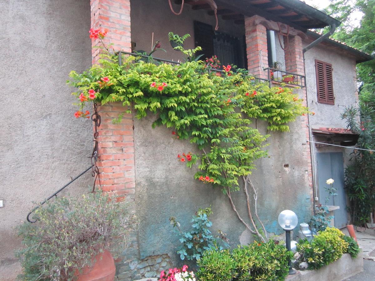 Agriturismo Il Colto San Gimignano Bagian luar foto